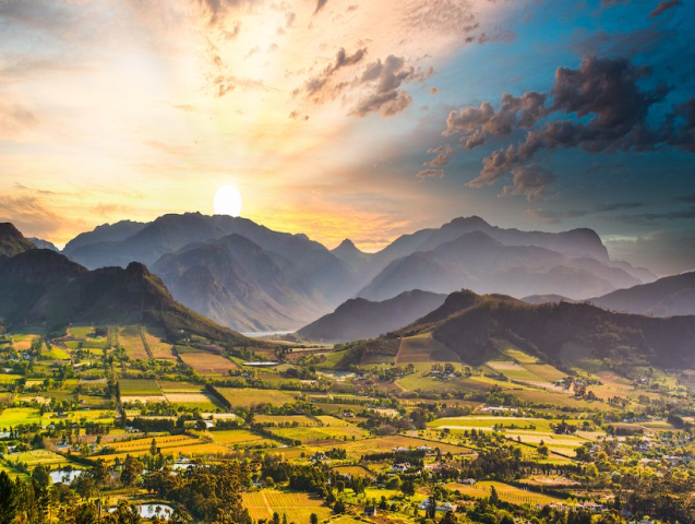winelands